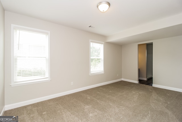 empty room with carpet and a wealth of natural light