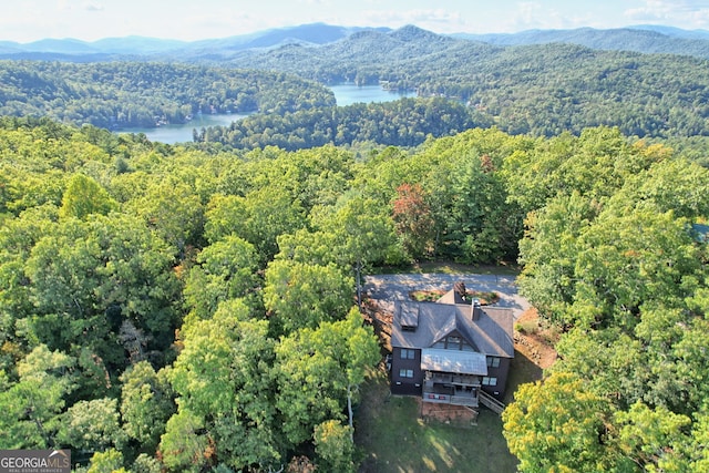 birds eye view of property with a water and mountain view