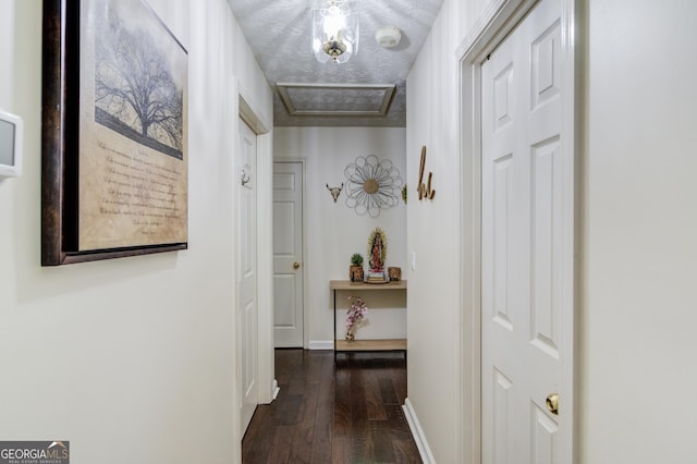 corridor featuring a textured ceiling and dark wood-type flooring