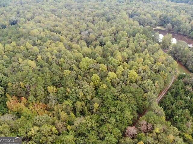 0 Williams Mill Rd, Zebulon GA, 30295 land for sale