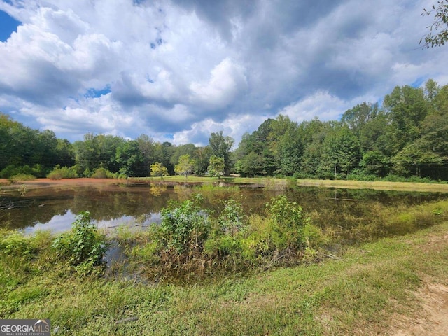 Listing photo 3 for 0 Williams Mill Rd, Zebulon GA 30295