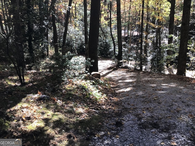 147 Wild Azalea Dr, Dillard, GA 30537 - view of woods