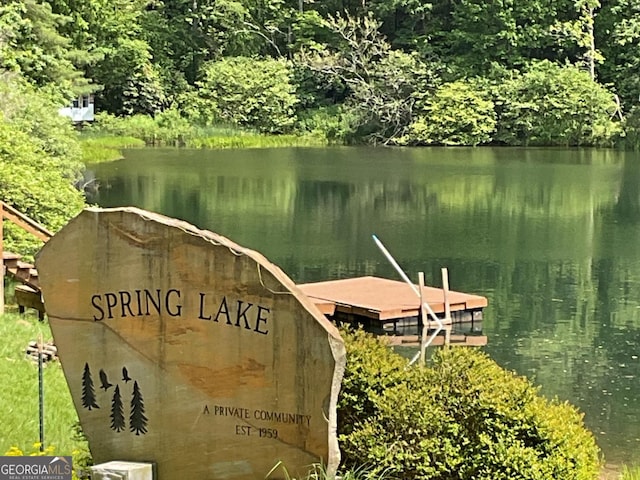 147 Wild Azalea Dr, Dillard, GA 30537 - dock featuring a water view and a view of trees