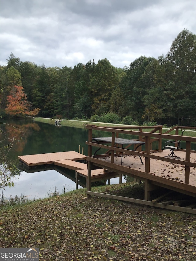 dock area with a water view