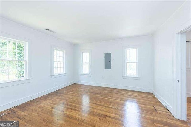 spare room with electric panel, a healthy amount of sunlight, and wood-type flooring