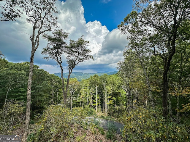 view of local wilderness