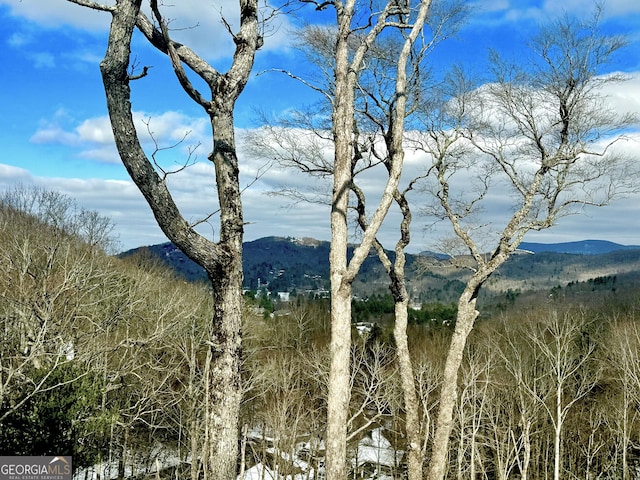 view of nature featuring a mountain view