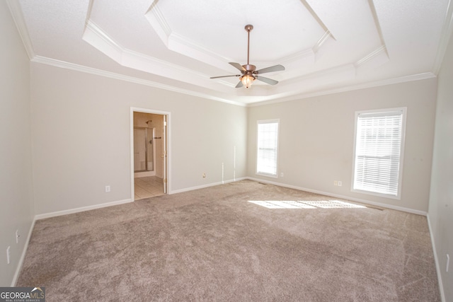 carpeted empty room with ceiling fan, a raised ceiling, and crown molding