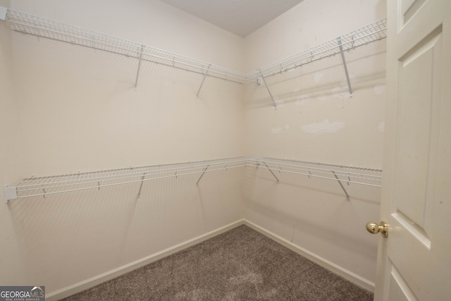 spacious closet with carpet