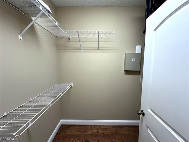 walk in closet with hardwood / wood-style flooring