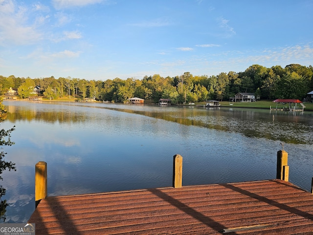 dock area with a water view