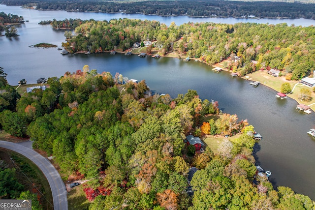 bird's eye view featuring a water view