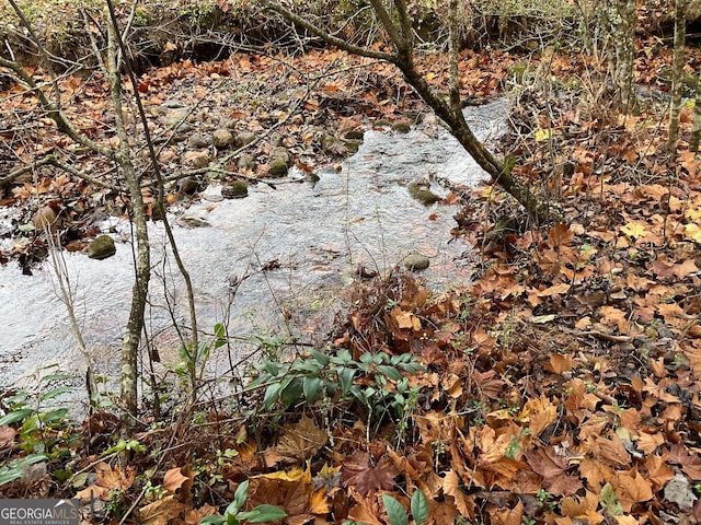 view of nature featuring a water view