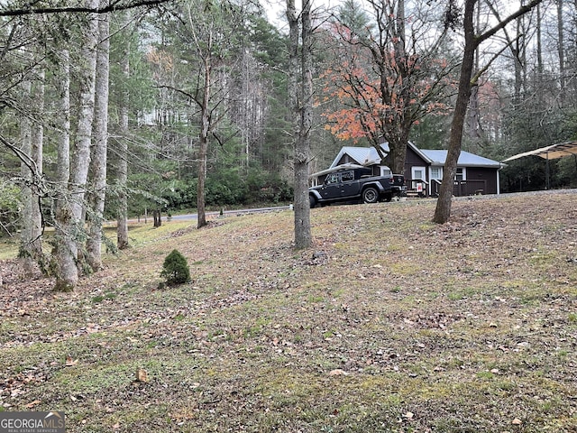 view of yard featuring a carport