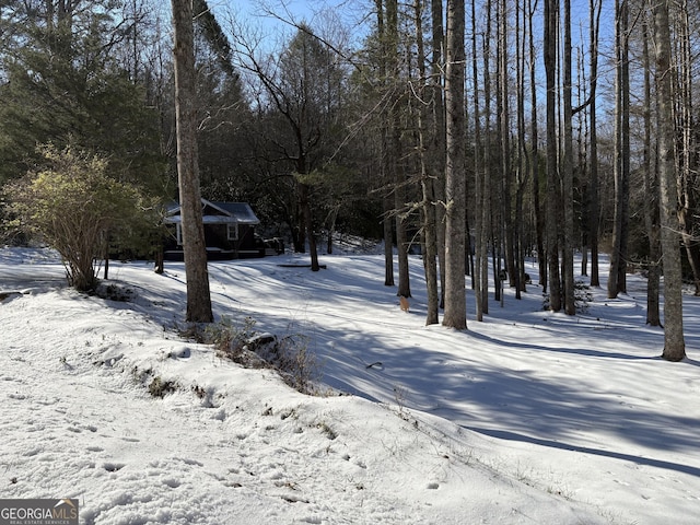 view of snowy yard