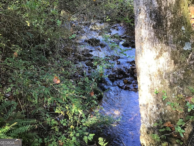 view of local wilderness