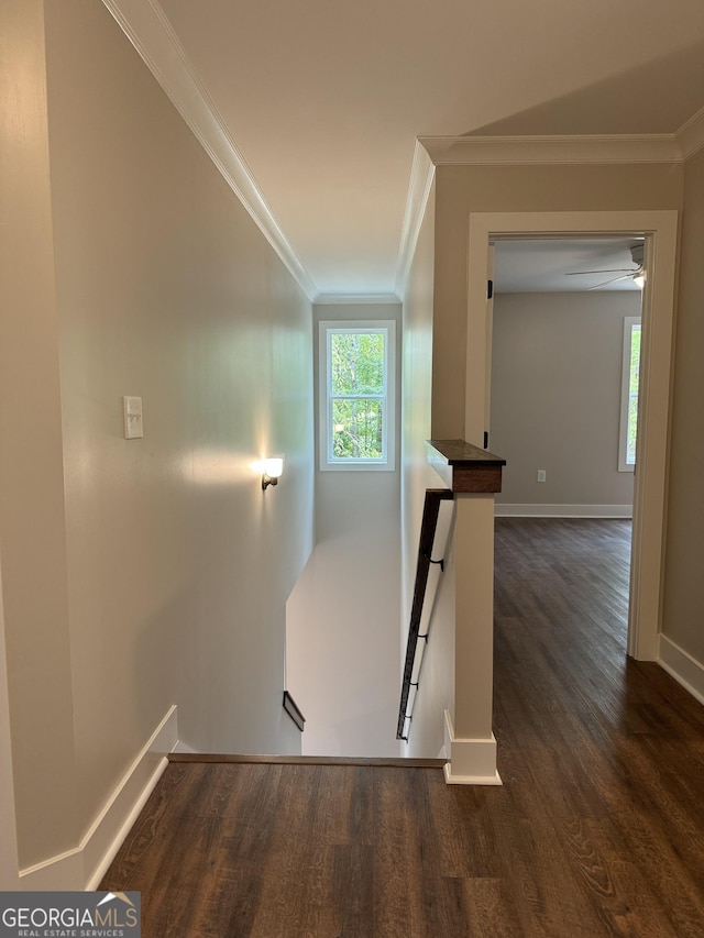 stairs featuring wood-type flooring and ornamental molding