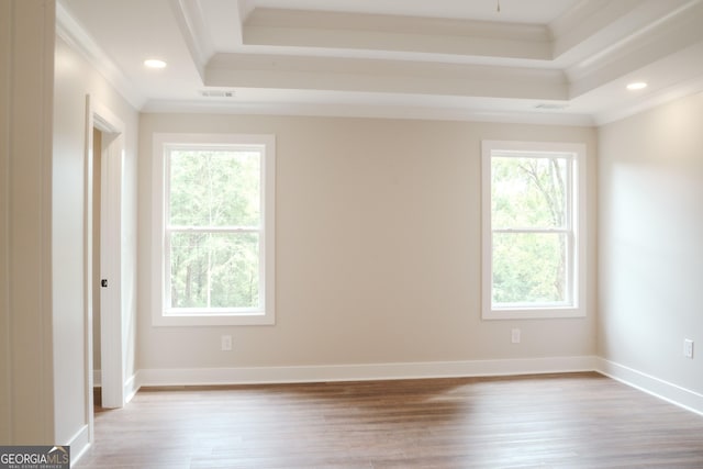 spare room with a raised ceiling, light hardwood / wood-style flooring, plenty of natural light, and crown molding