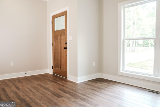 foyer entrance featuring dark wood-type flooring and a healthy amount of sunlight