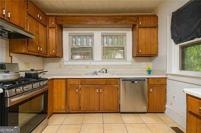 kitchen with exhaust hood, appliances with stainless steel finishes, a healthy amount of sunlight, and sink