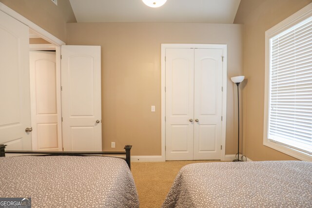 carpeted bedroom with multiple windows and lofted ceiling