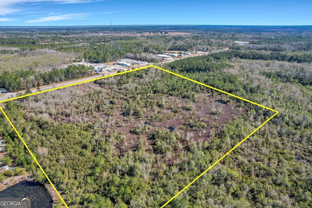 Listing photo 2 for PARCEL2AND3 US Highway 341 S, Jesup GA 31546