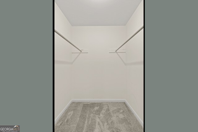 spacious closet featuring light colored carpet