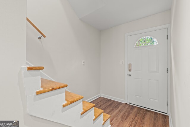 entryway featuring wood-type flooring