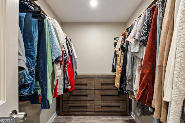 walk in closet featuring wood-type flooring