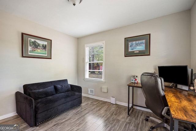 office featuring wood-type flooring