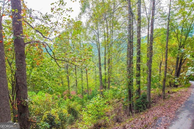 Listing photo 3 for 0 Summit Trl, Hiawassee GA 30546