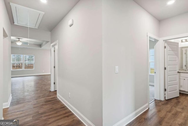 hall with dark hardwood / wood-style flooring