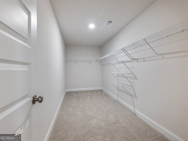 spacious closet featuring carpet flooring