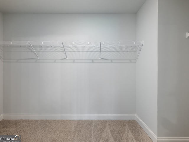 spacious closet featuring carpet flooring