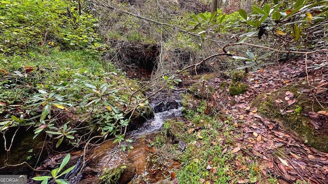 view of landscape