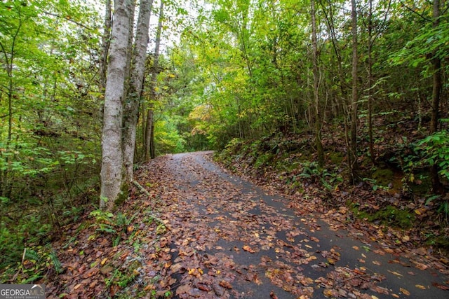 view of road