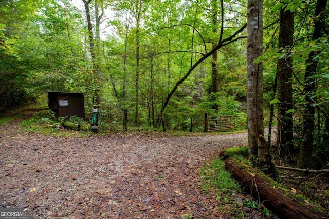 view of yard with a shed