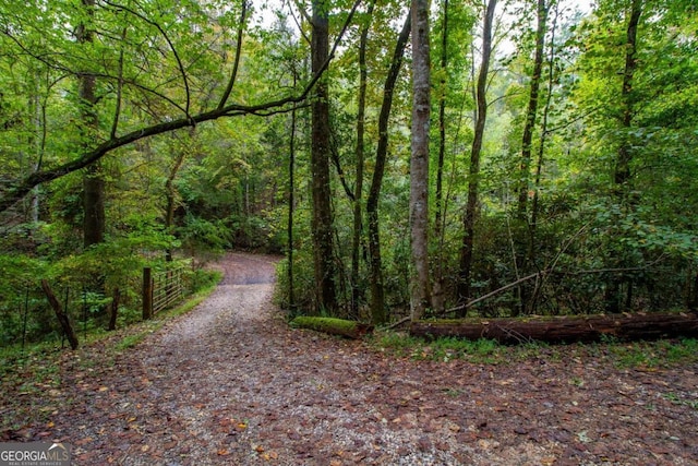 view of local wilderness