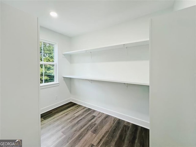 walk in closet with wood finished floors