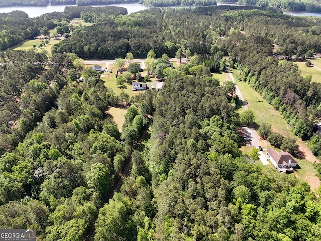 birds eye view of property featuring a water view and a view of trees