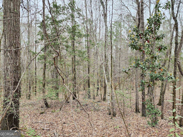 LOT19 Smith Rd, Thomaston GA, 30286 land for sale