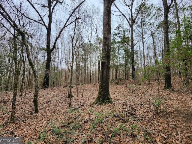 Listing photo 2 for LOT19 Smith Rd, Thomaston GA 30286