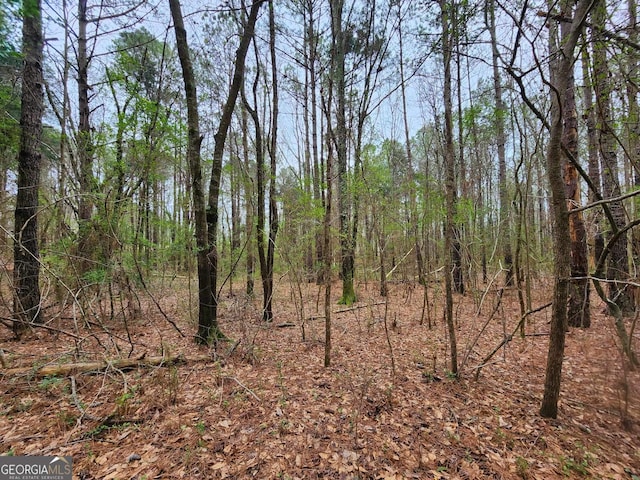 Listing photo 3 for LOT19 Smith Rd, Thomaston GA 30286