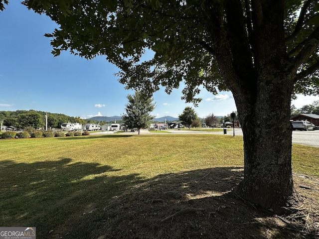 view of community with a yard and a mountain view