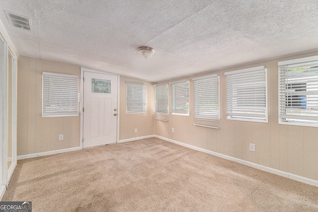 carpeted empty room with a textured ceiling and plenty of natural light