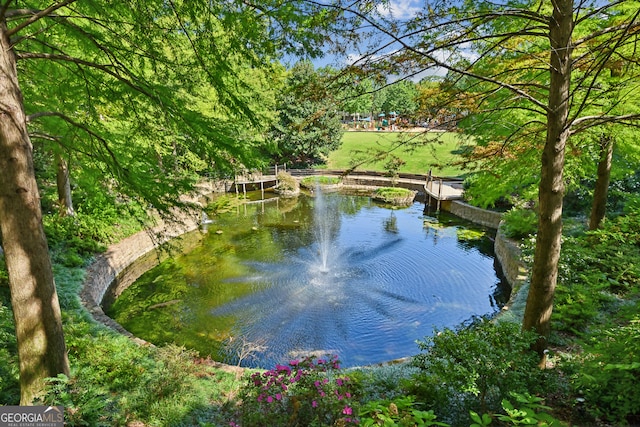 view of water feature