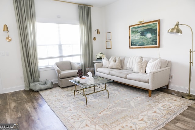 living room with wood-type flooring