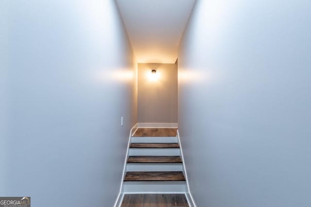 stairway with wood-type flooring