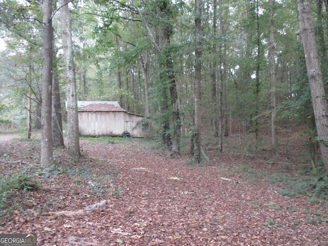 view of local wilderness