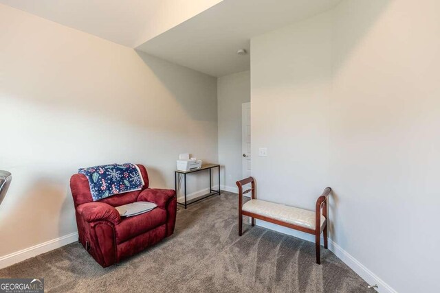 sitting room with carpet flooring